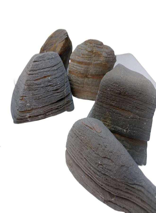 RUKDA Ancient Layered Petrified Wood Stone, Natural Fossil Rock, Aquarium Decor, Terrarium Decor, Garden Decor (1, Kilograms) - Image 5